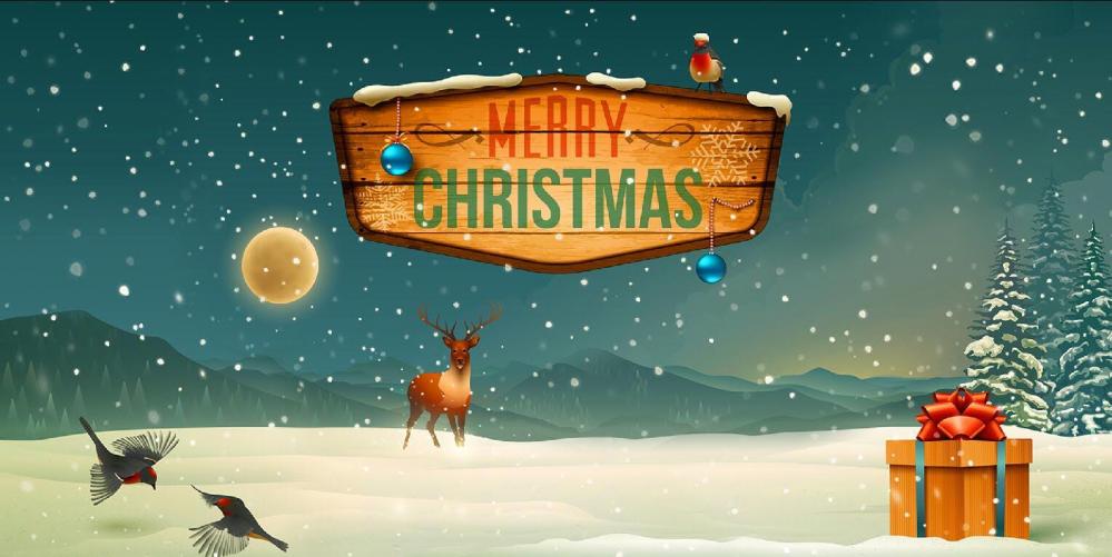 Vinylbakgrund 1.5x3m - Merry Christmas skylt