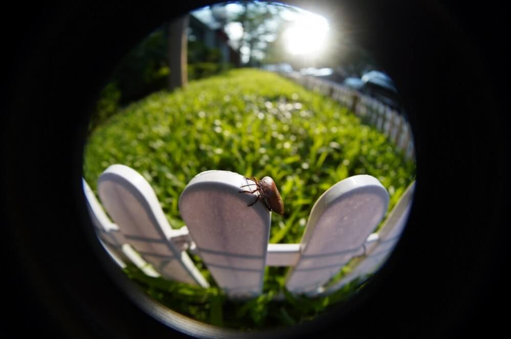 TTartisan 7.5mm f/2.0 Fisheye-objektiv med ND1000-filter för Micro 4/3