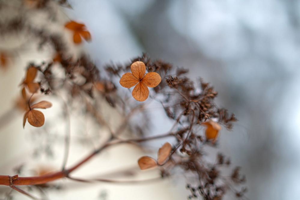  7Artisans 35mm f/0.95 objektiv APS-C fr Canon EOS RF