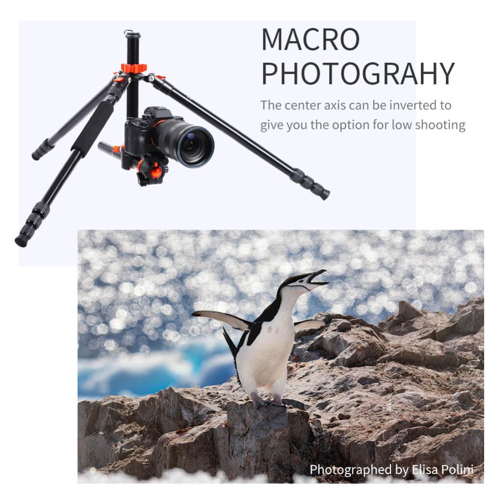  Returex K&F Concept Kamerastativ med kulled & fällbar mittpelare 185cm från Kamda – snabb leverans och trygg e-handel