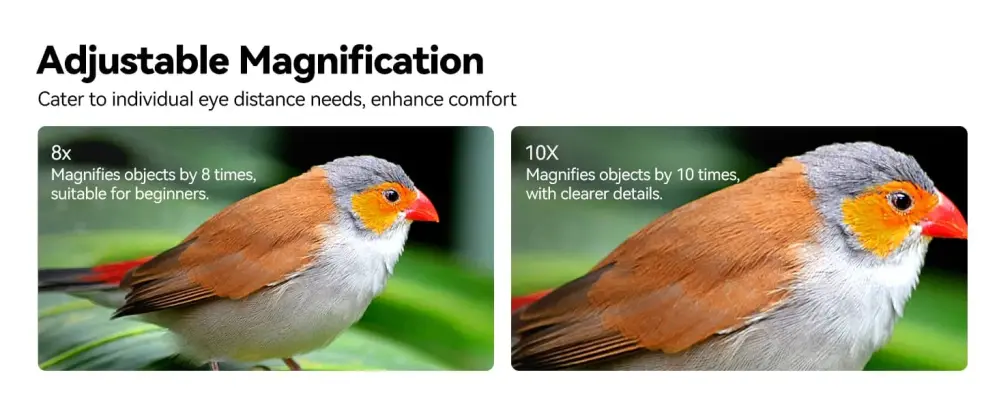 Svbony SV202 8x42 ED Kikare – avancerad optik med hög ljustransmission från Kamda – snabb leverans och trygg e-handel