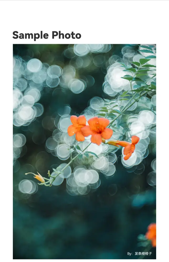 TTartisan 100mm f/2.8 objektiv Soap Bubble Bokeh för Leica M