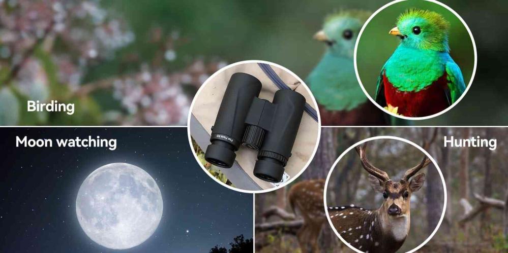  Svbony SA205 10x42 ED Kikare – planbildsoptik hög skärpa IP67 från Kamda – snabb leverans och trygg e-handel