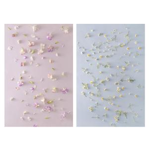  Pappersbakgrund PVC Blommor #3 dubbelsidig f&ouml;r fotografering 57x87cm fr&aring;n Kamda &ndash; snabb leverans och trygg e-handel