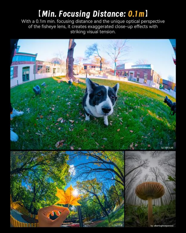  7Artisans 6mm f/2.0 – extremt fisheye-objektiv för Sony E (APS-C) från Kamda – snabb leverans och trygg e-handel