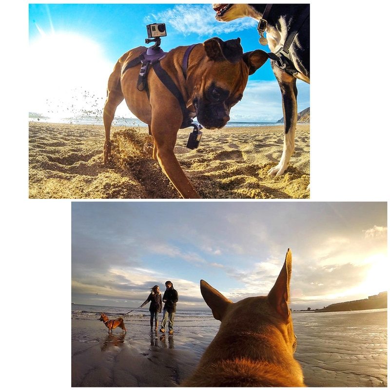  Puluz Hundsele fr fr GoPro HERO9 Black /8 /7 /6 /5 /4 /3+ /3 /2 /1